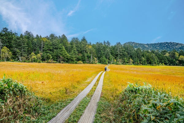 10月全日程催行決定🚌🚌【新宿発/朝発日帰り】尾瀬の大自然に触れる<鳩待峠>野花咲く遥かな『尾瀬』ハイキングへ1